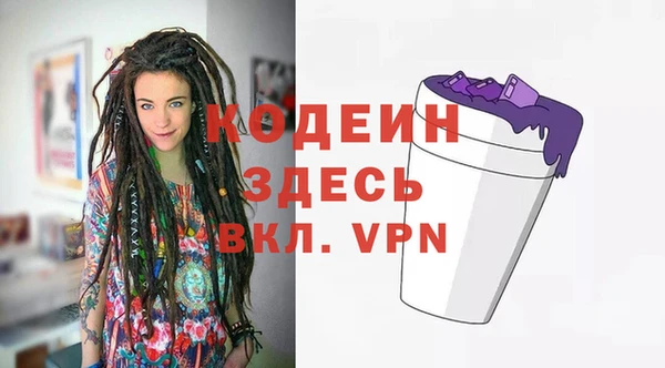 дурь Алексин
