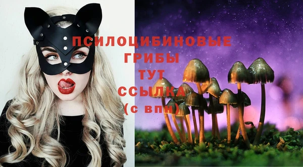 дурь Алексин