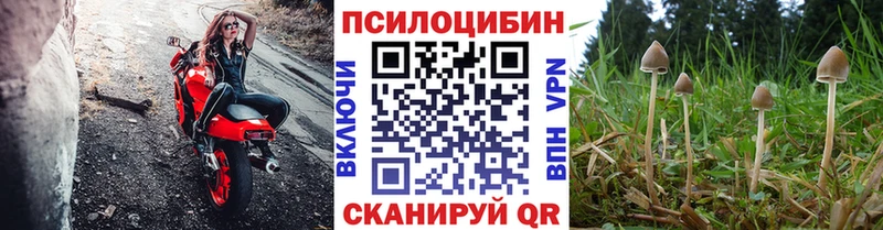 Псилоцибиновые грибы Psilocybine cubensis  маркетплейс Telegram  Оренбург  дарнет шоп 