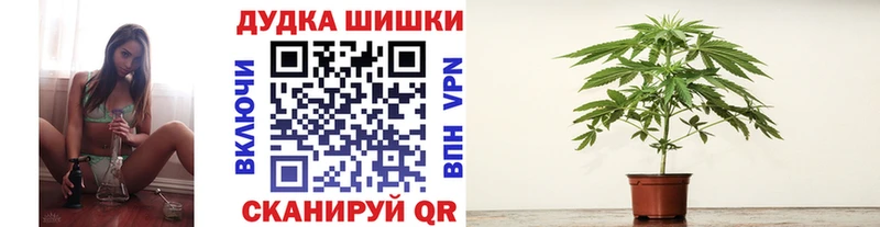 купить   Оренбург  blacksprut зеркало  Конопля план 